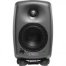Активные студийные мониторы GENELEC 8020DPM 37449