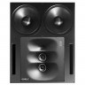 Активные студийные мониторы GENELEC 1236AP-VD 44322