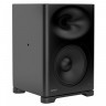 Активные студийные мониторы GENELEC S360AP 44325